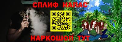 гашик Донской