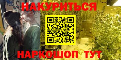 гашик Донской